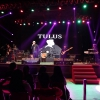 1-allabout-music-sepatu-sephia-sheila-on-7-tulus-1510167-013-rev1.jpg