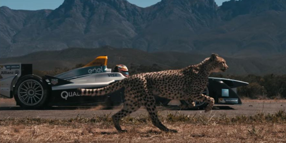 Adu Cepat Cheetah Dengan Mobil Balap, Menang Mana? thumbnail