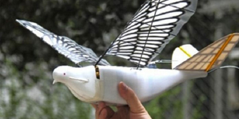 Hati-hati, Di China Ada Burung Berkamera!
