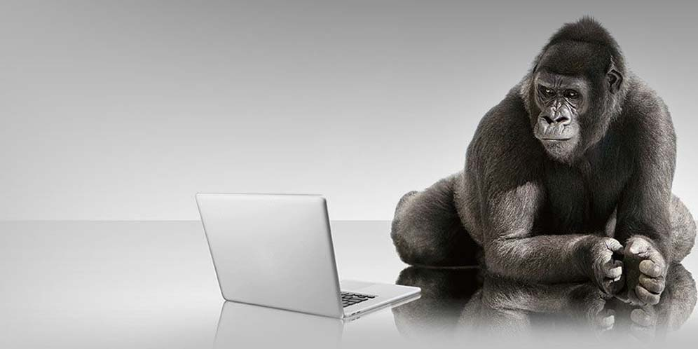 Corning Umumkan Ponsel dengan Gorilla Glass 6 Pertama thumbnail