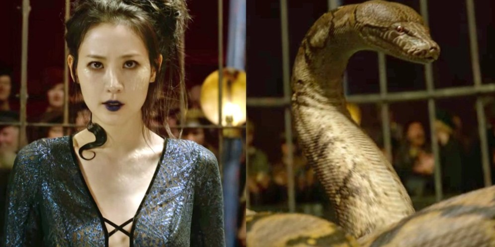  Inspirasi Karakter Nagini di Fantastic Beasts 2 Ternyata dari Indonesia! thumbnail