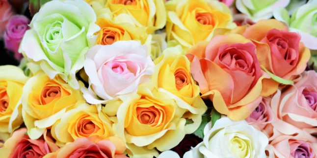 Beda Warna Mawar Beda Arti Untuk Si Dia