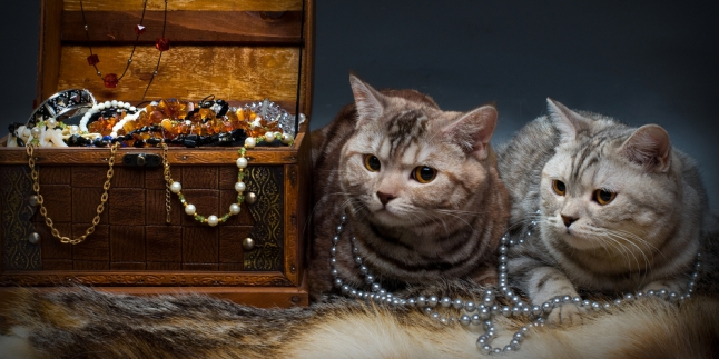 Ini Nih Hewan-Hewan Paling Kaya di Dunia