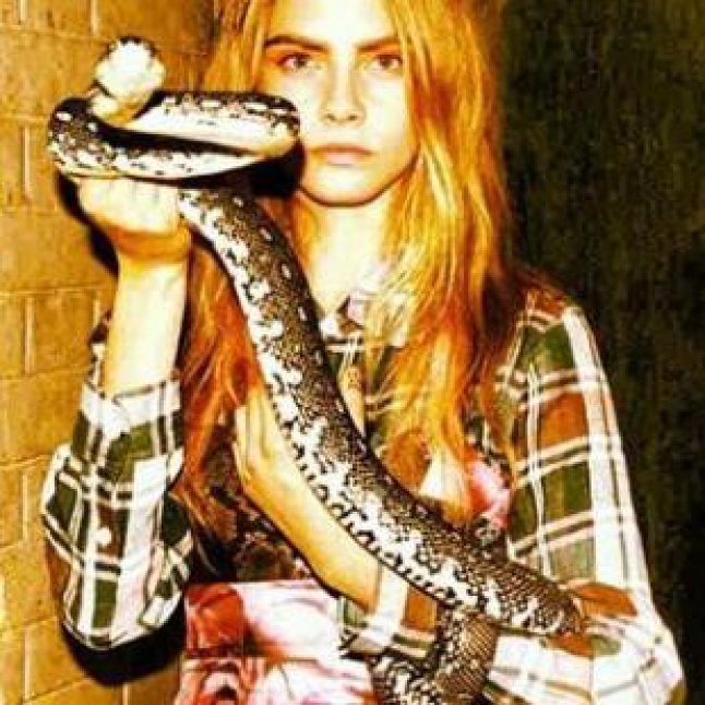 Siap-siap! Fitur Telepon di WhatsApp Bakal Tersedia