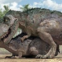 Gaya Bercinta Dinosaurus Mirip Manusia