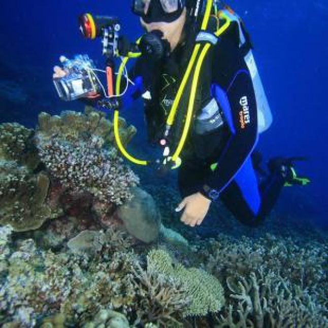Diving: Sambil Menyelam Nambah Ilmu