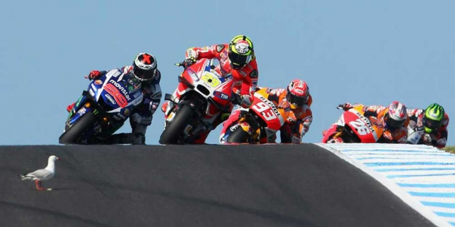 Sirkuit Phillip Island Dibilang Mematikan Gara-gara Burung Camar?