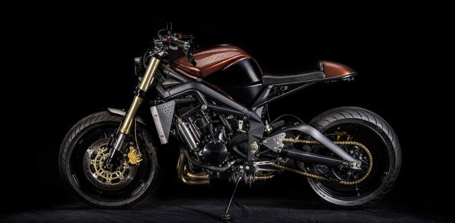 Triumph Street Triple Fighter Garang