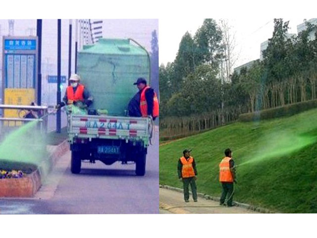China Kegep Ngecat Rumput!