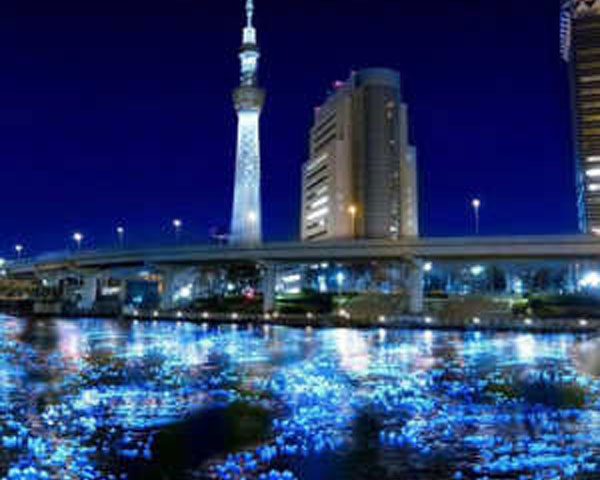 Gara-gara Panasonic, Sungai di Tokyo 