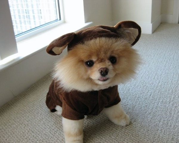 Pesona si Boo