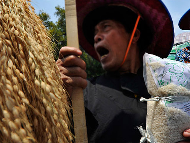 Saran Dari Kementrian Pertanian, Kurangin Makan Nasi!