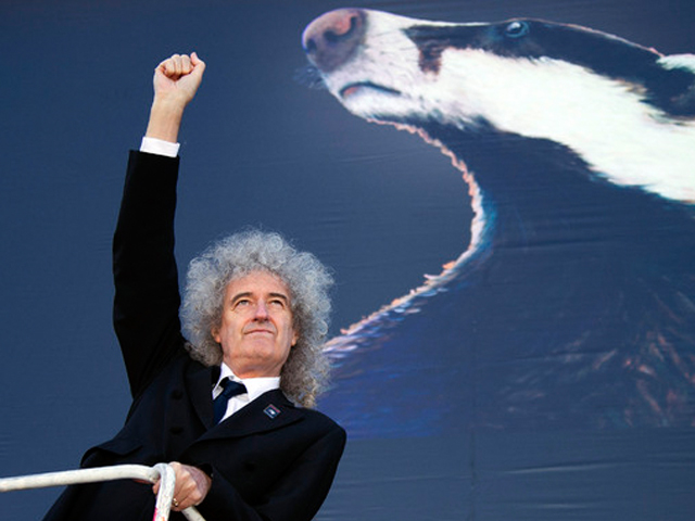 Sayangi Hewan, Brian May Dapat Penghargaan PETA thumbnail