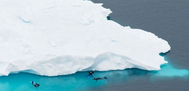 Sensasi Snorkeling di Laut Antartika thumbnail
