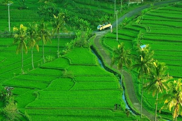 Subak Bali raih penghargaan warisan budaya dunia dari UNESCO