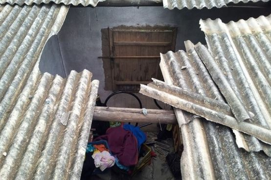 Tragis, Pria Ini Tewas Gara-gara Sapi?!