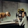 Yang Dilakukan oleh Sinematografer