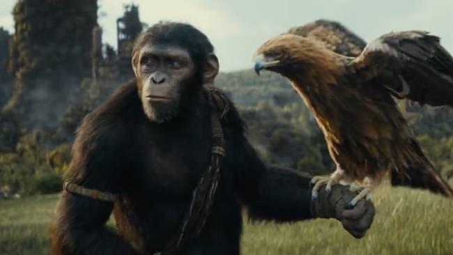 Film Kingdom of the Planet of the Apes 2024