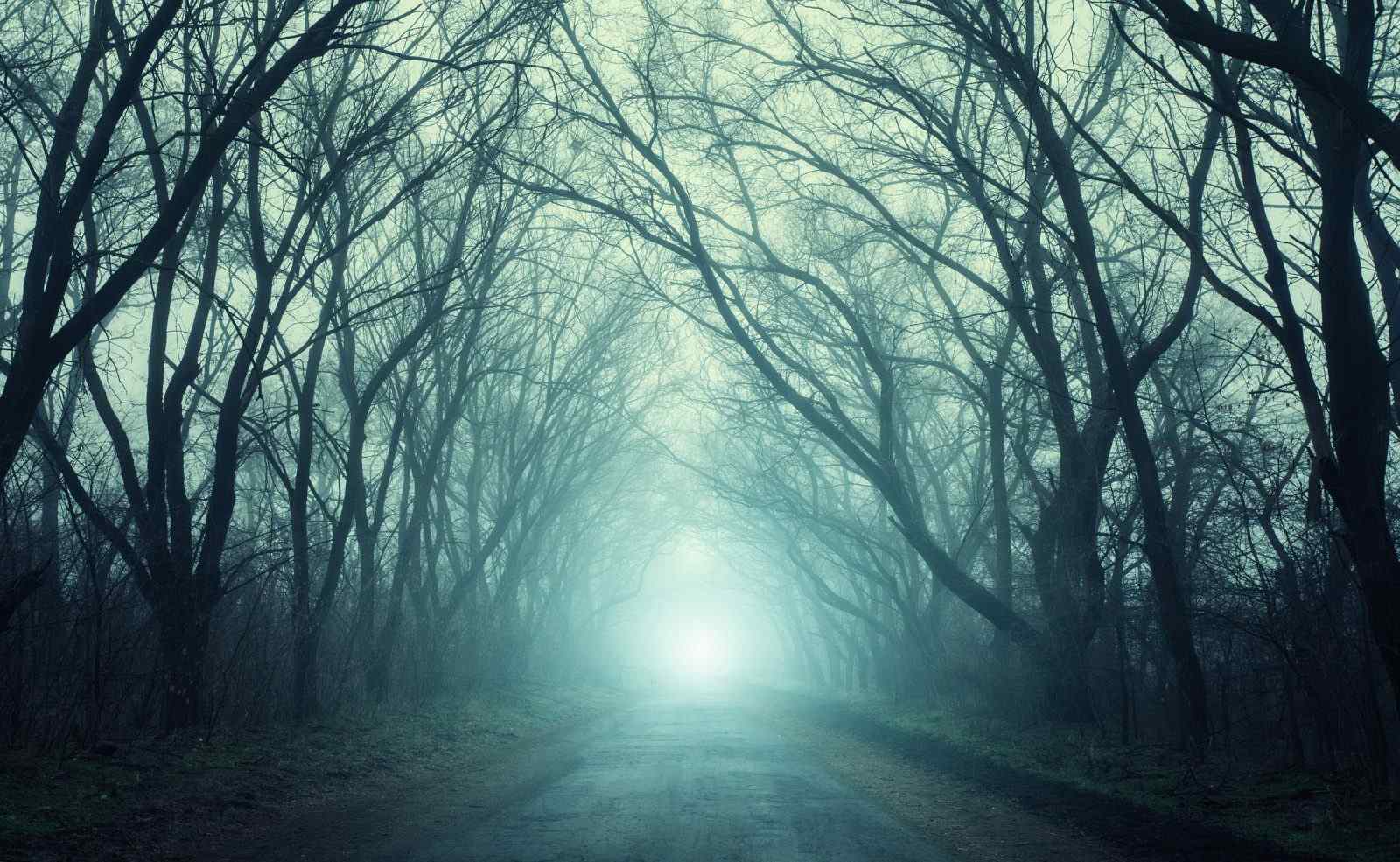 Peluang Genre 'Ecohorror' di Indonesia