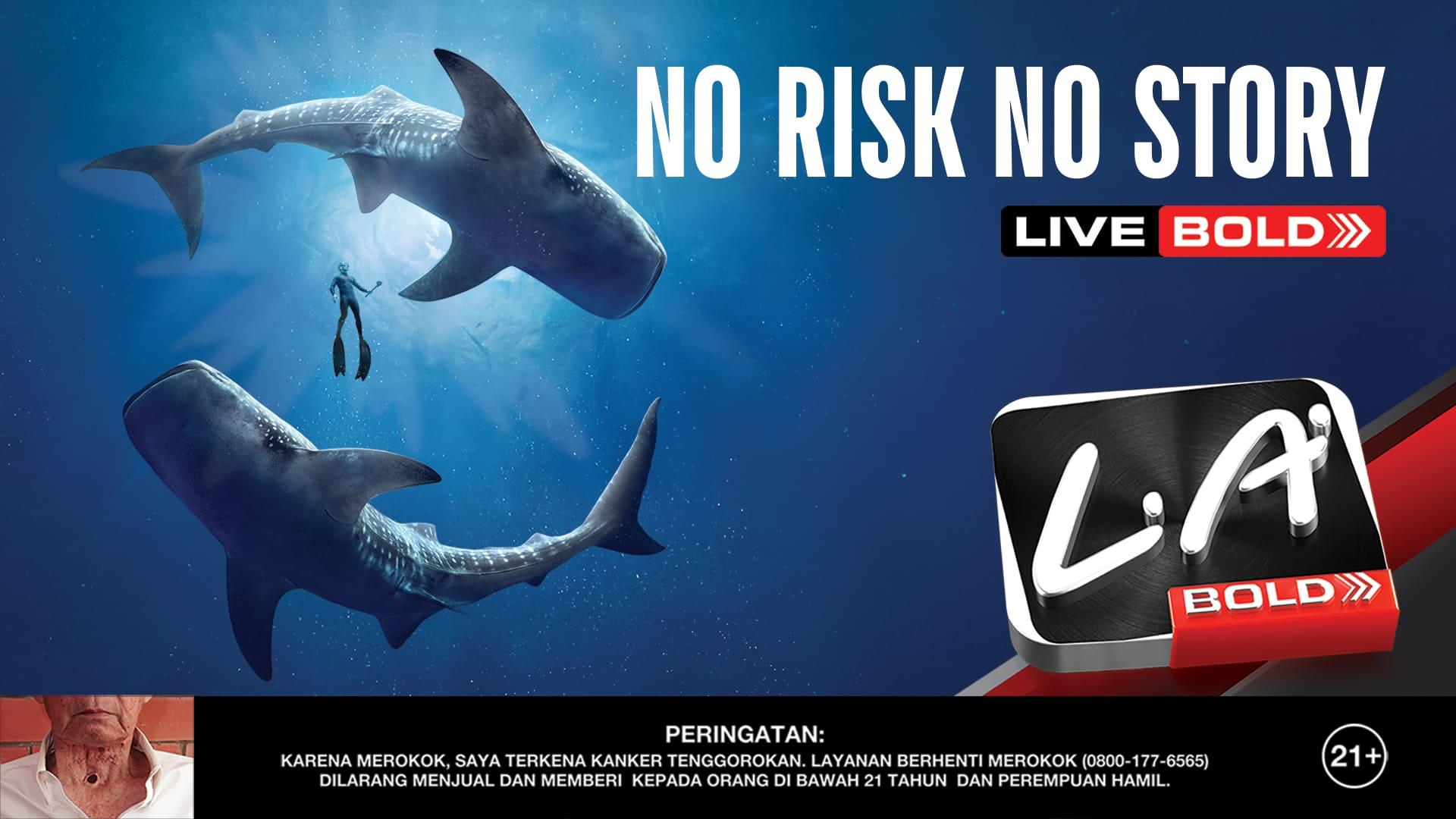 la bold no risk no story whale shark