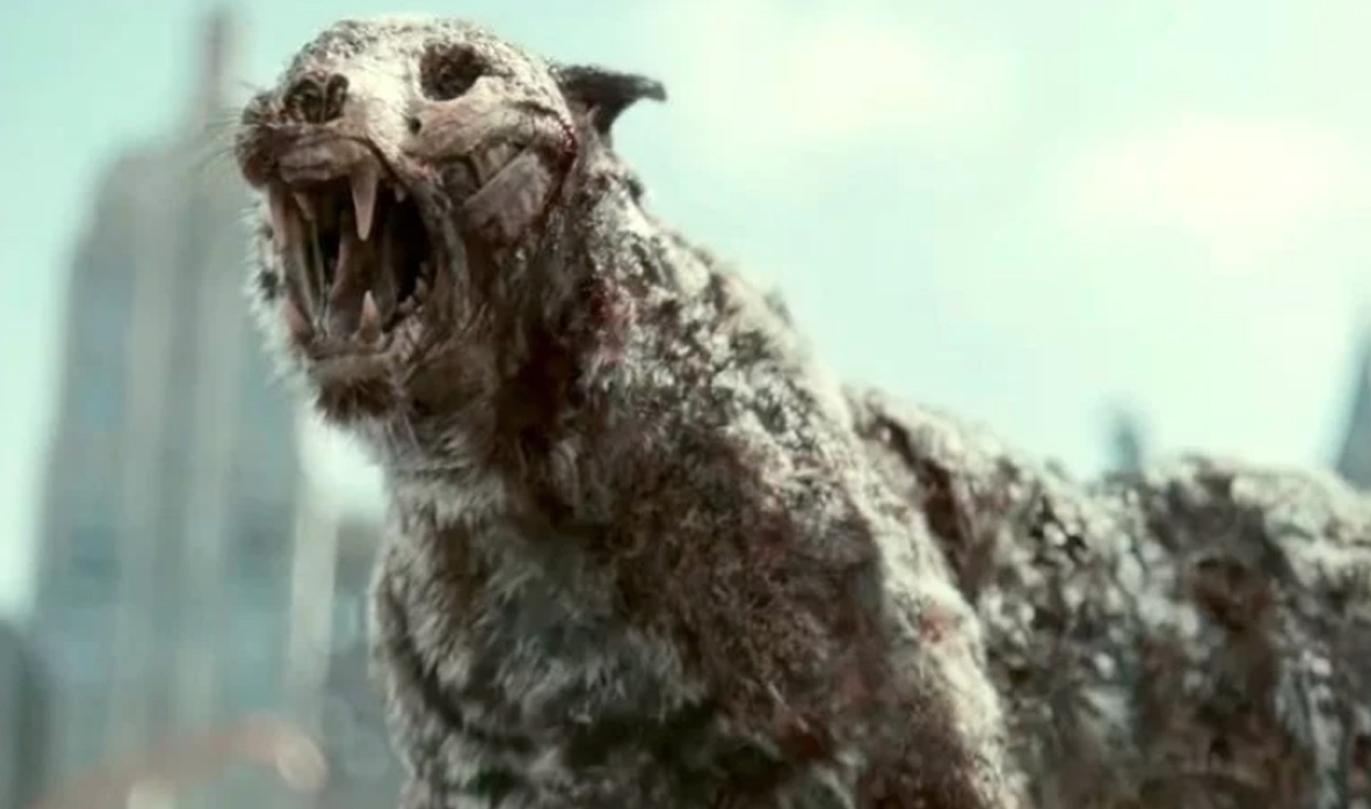 Hanya Hewan Ini Tahan Virus Army of the Dead