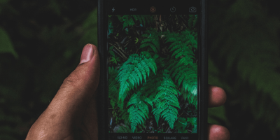 Tips Menghasilkan Foto Sederhana Menjadi Berkesan thumbnail