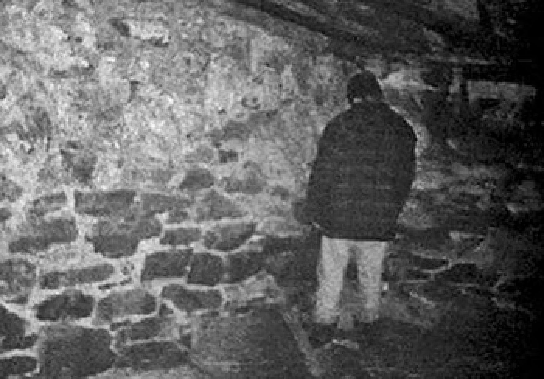 4 Film Horor “Found Footage” Ini Bakal Bikin Lo Merinding!