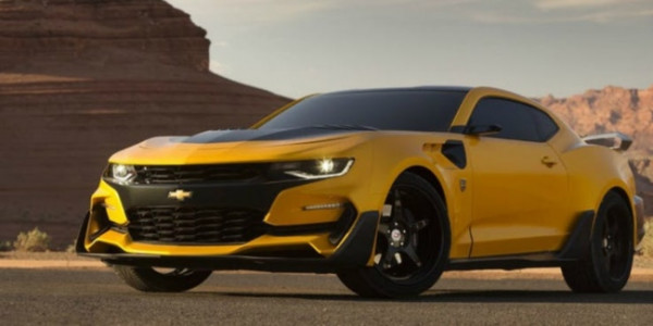 3 Fakta tentang Bumblebee yang Mungkin Loe Enggak Tahu