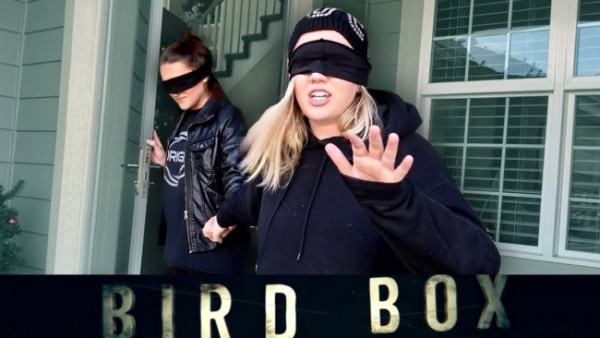 Netflix Ingatkan Penggemar Jangan Keterlaluan Bikin Bird Box Challange