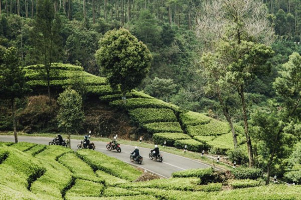 Indonesia Rocker's Day, Penutup Tahun Seru Buat Pecinta Motor Kustom!