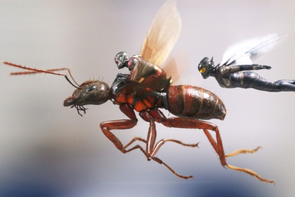 Ant-Man and The Wasp Melesat di Box Office